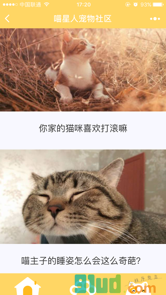喵星人宠物社区小程序截图