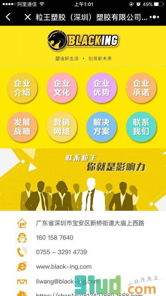 粒王黑色母小程序截图
