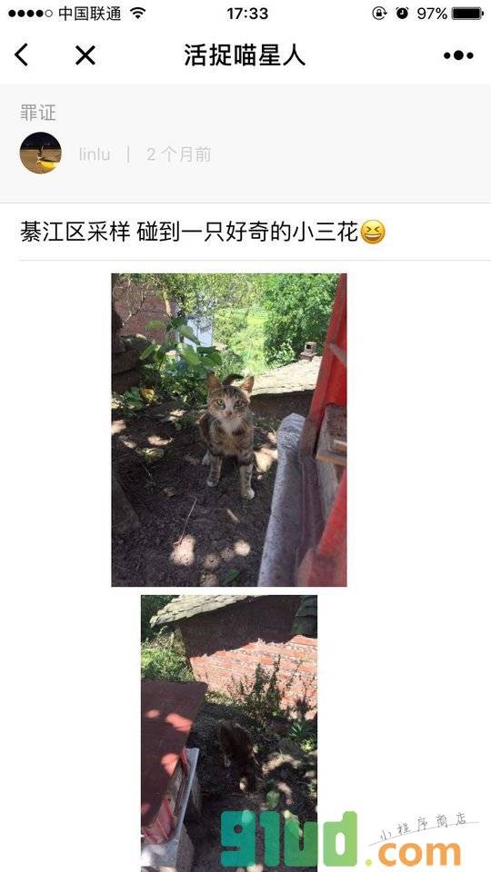 活捉喵星人小程序截图
