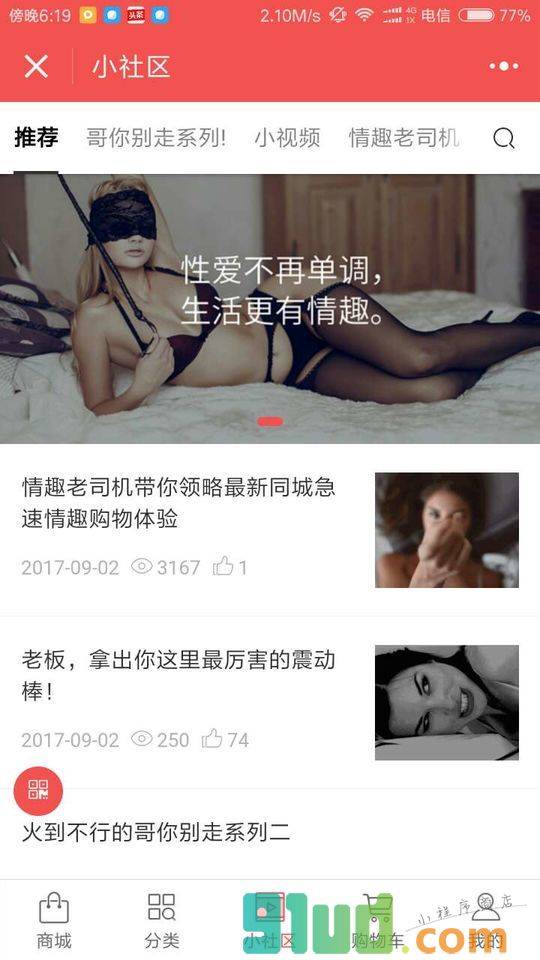 老司机成人情趣用品小程序截图