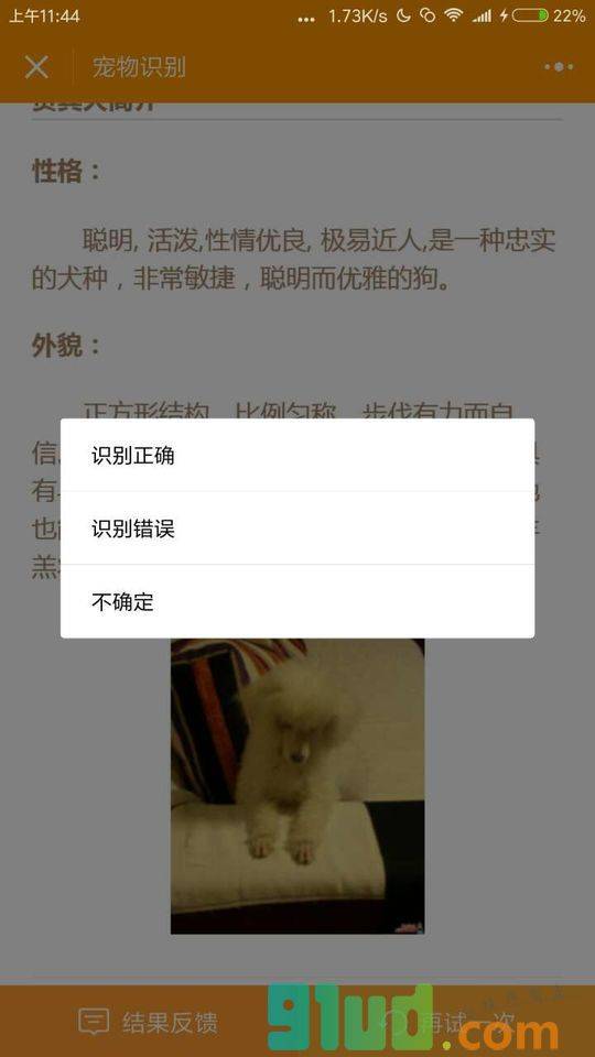 宠物识别小程序截图