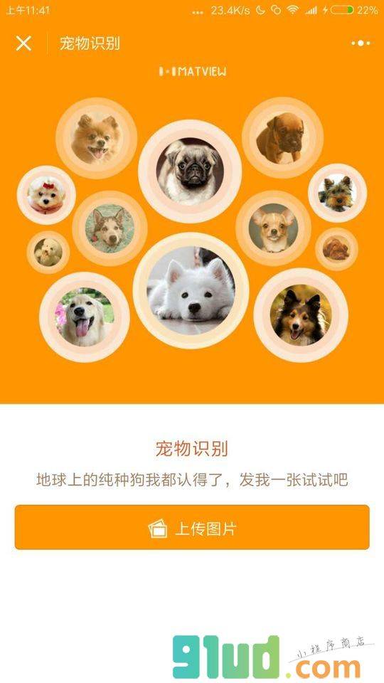 宠物识别小程序截图