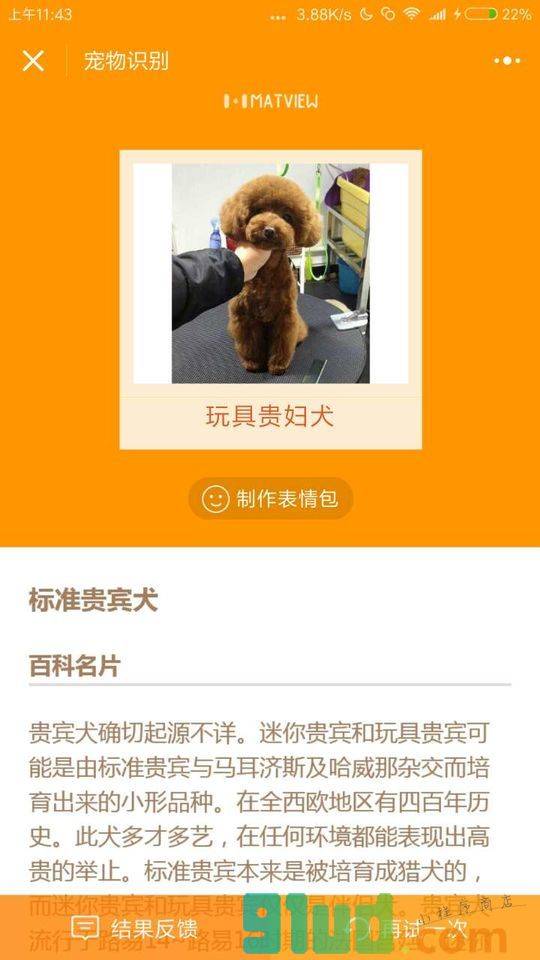 宠物识别小程序截图