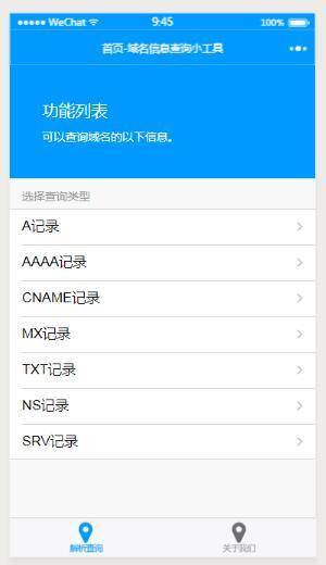 域名信息查询小工具小程序截图