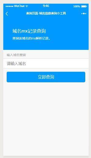 域名信息查询小工具小程序截图