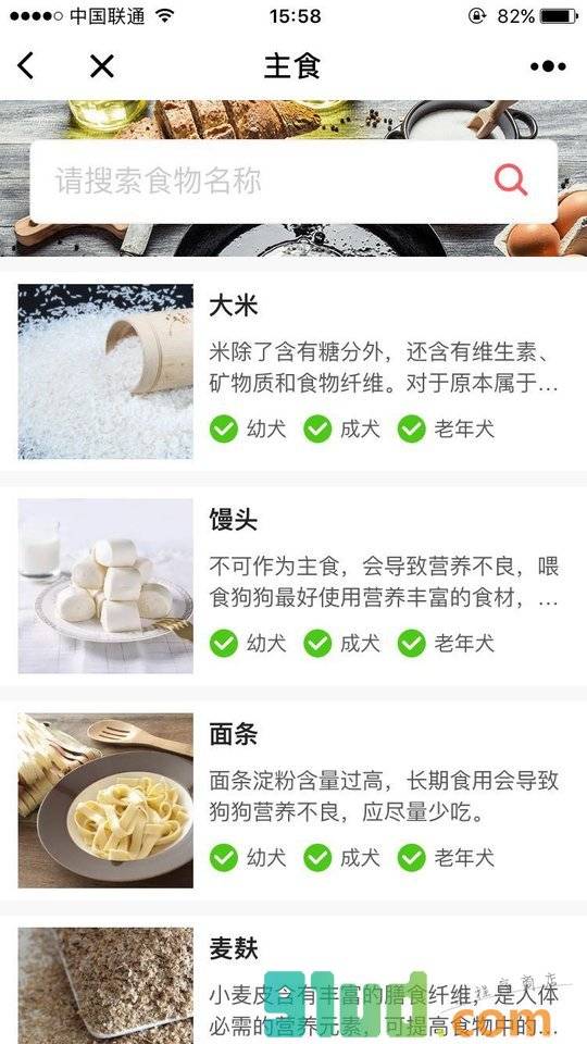 狗狗能不能吃小程序截图