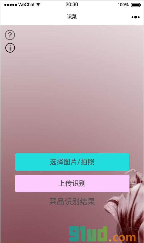 识菜小程序截图