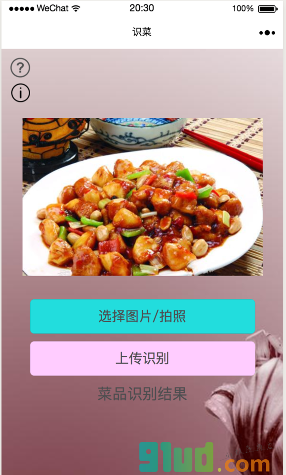 识菜小程序截图