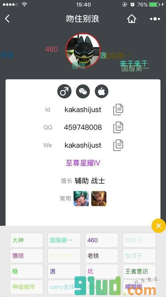 我的王者名片小程序截图