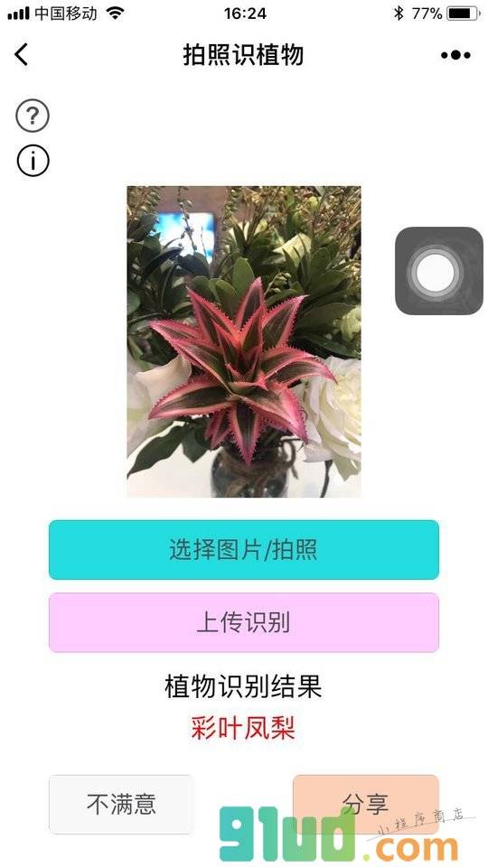 拍照识植物小程序截图