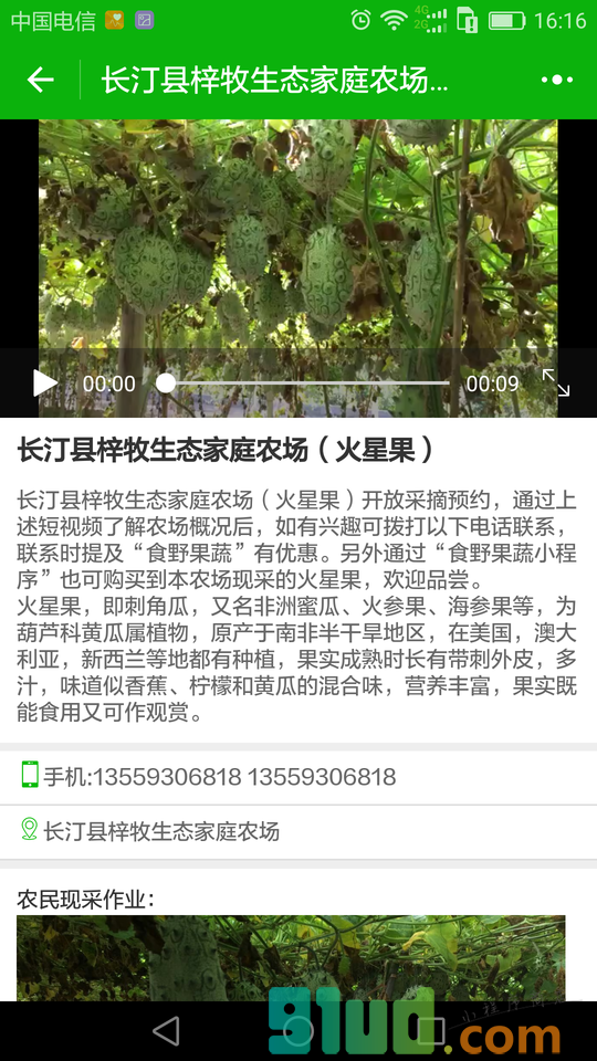 食野果蔬农场直采小程序截图