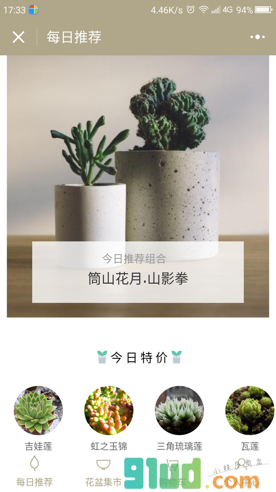 叮铛多肉小店小程序截图