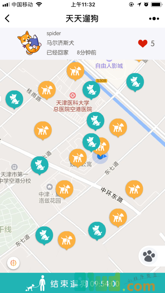 天天爱遛狗小程序截图