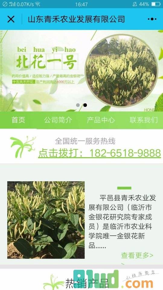金银花种植技术小程序截图