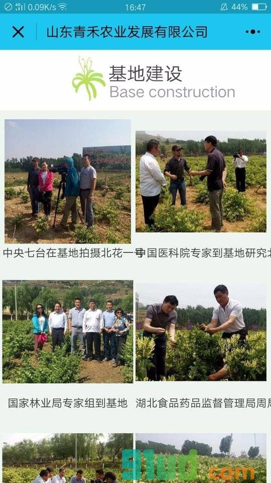 金银花种植技术小程序截图