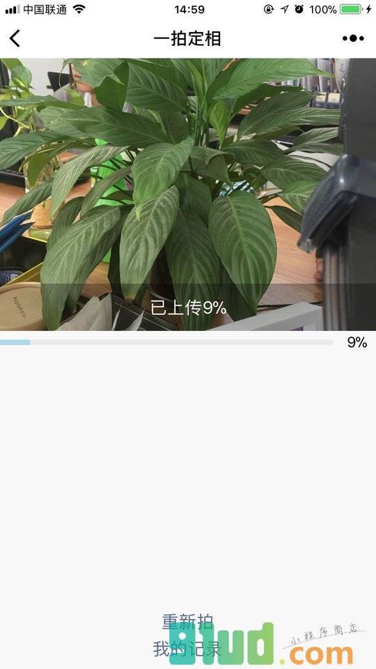 一拍定相小程序截图