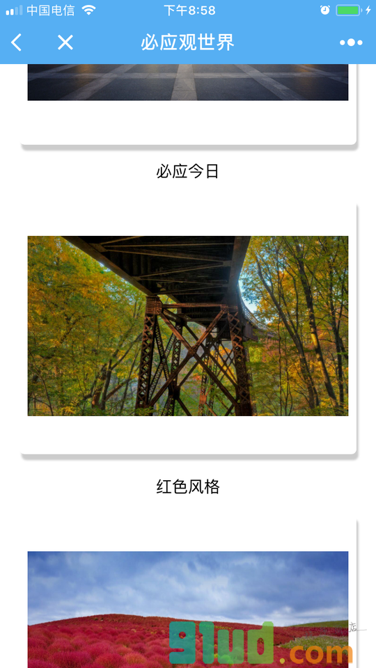 必应观世界小程序截图