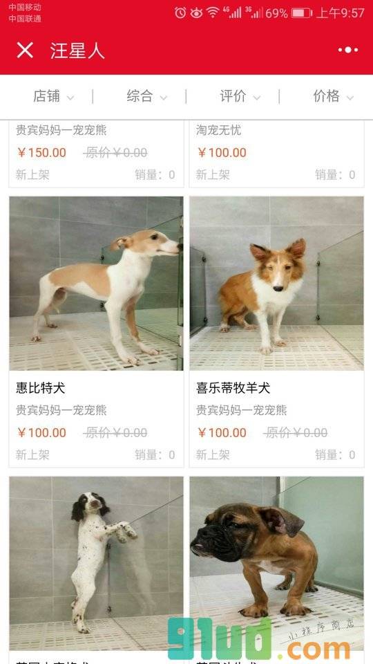 宠物白领小程序截图