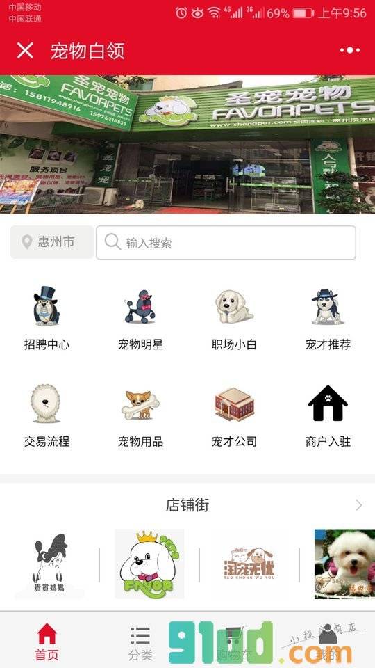 宠物白领小程序截图