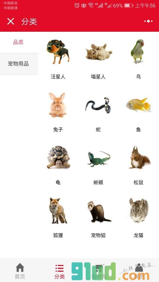 宠物白领小程序截图