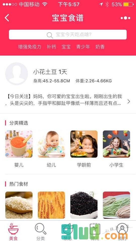 宝宝食谱一育儿菜谱大全小程序截图