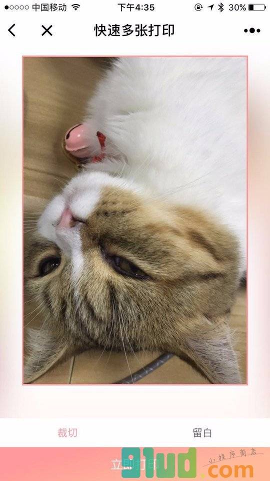 功夫打印小程序截图