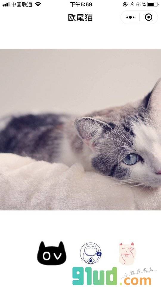 欧尾猫小程序截图