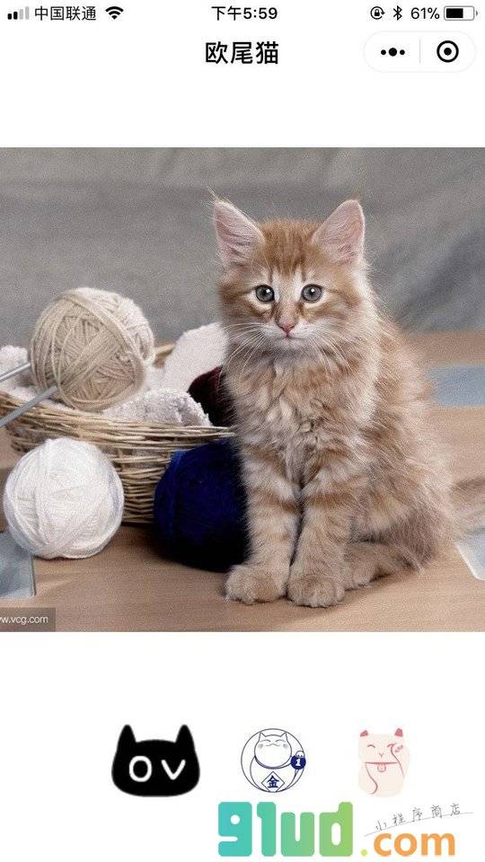 欧尾猫小程序截图