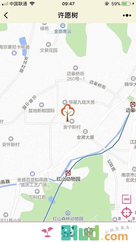 星空许愿树小程序截图
