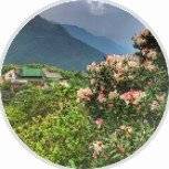 湖南旅游攻略小程序截图