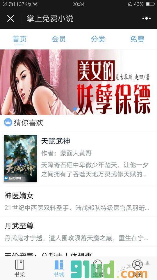 掌上免费小说小程序截图