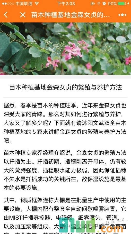 核桃产品平台小程序截图