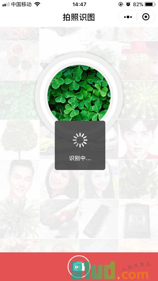 拍照识图小程序截图