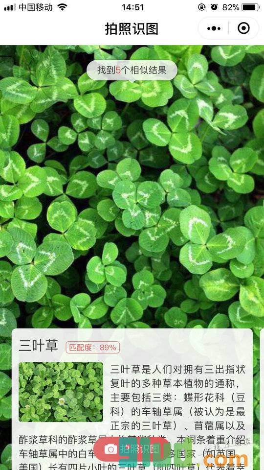 拍照识图小程序截图