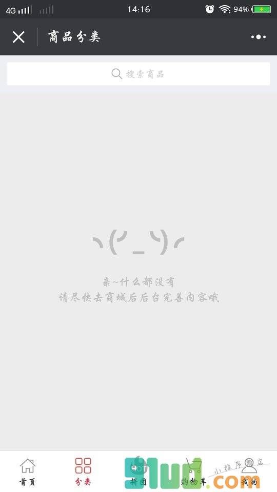 模板程序小程序截图