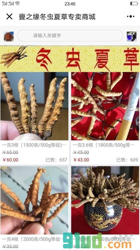 冬虫夏草枸杞蜂蜜专卖商城小程序截图