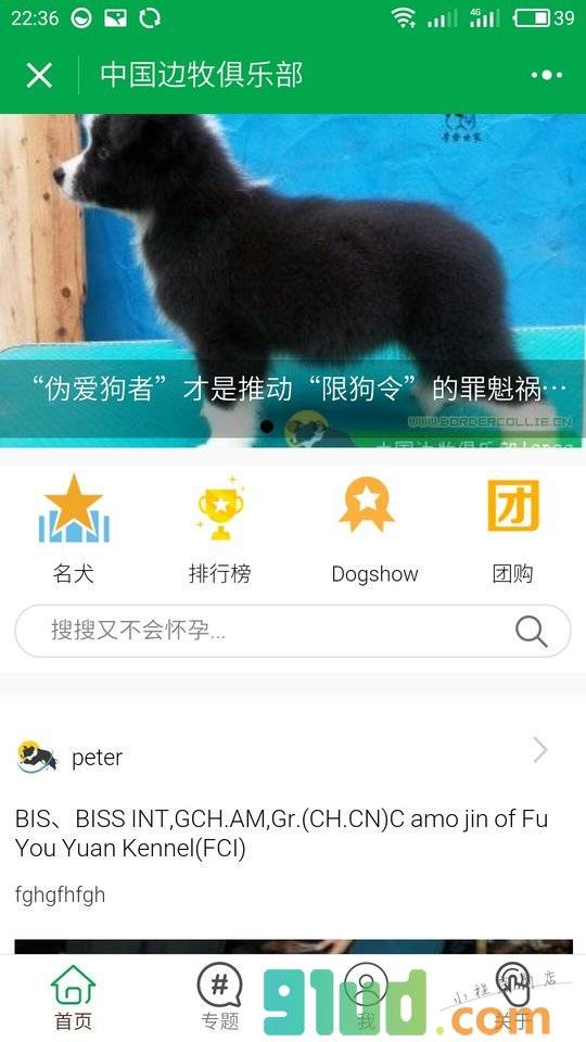 边牧俱乐部小程序截图