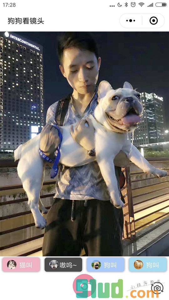 狗狗看镜头小程序截图