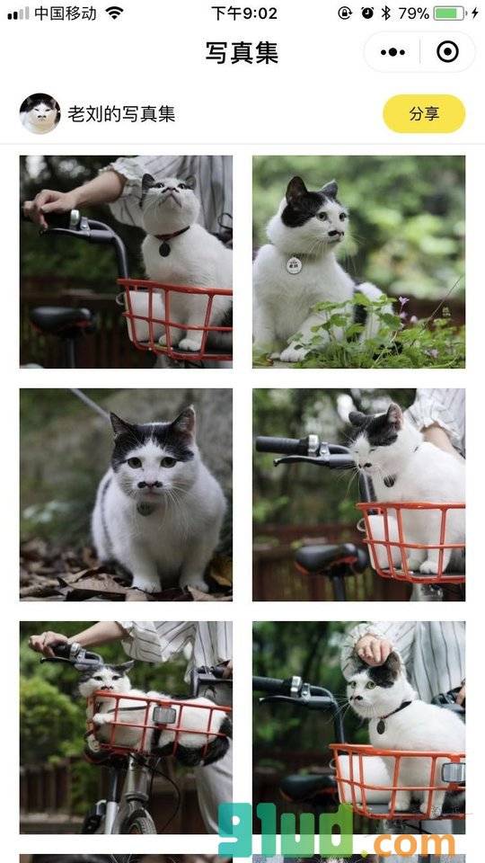 猫卡MeowCard小程序截图