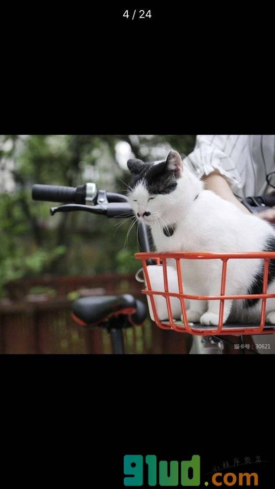 猫卡MeowCard小程序截图