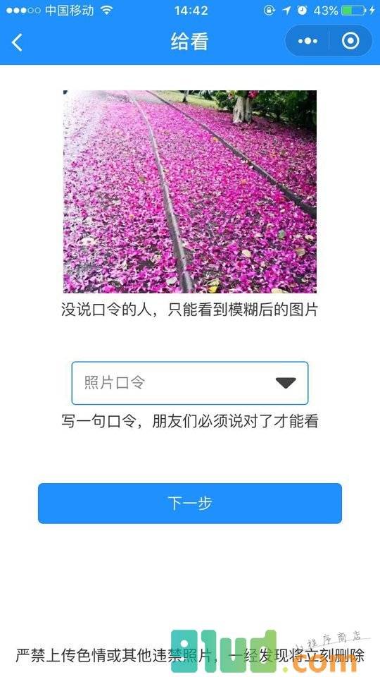 给看小程序截图