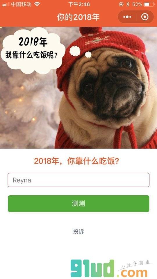 你的2018小程序截图