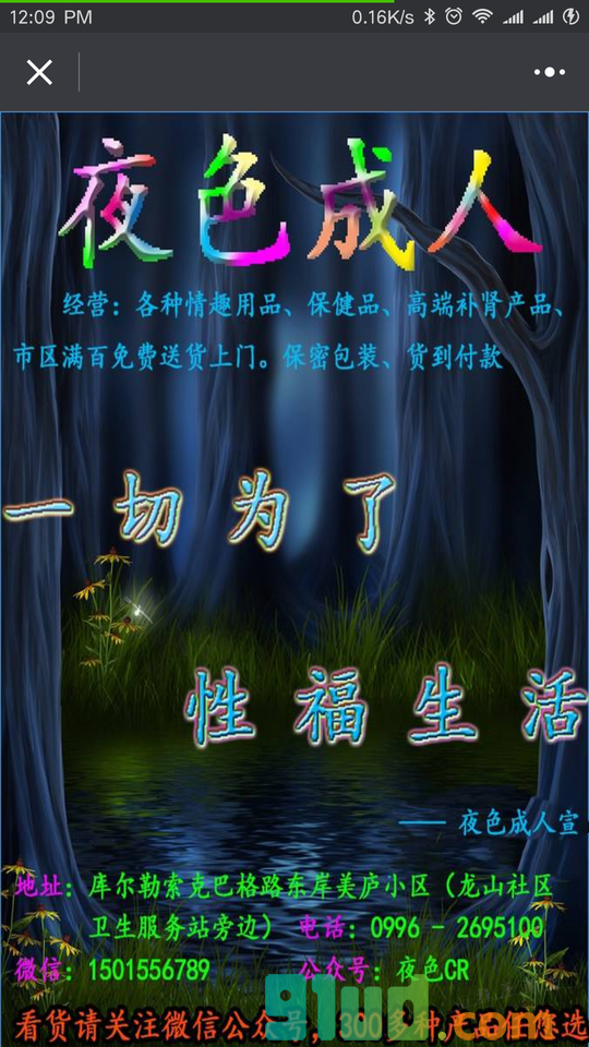 库尔勒夜色成人商行小程序截图