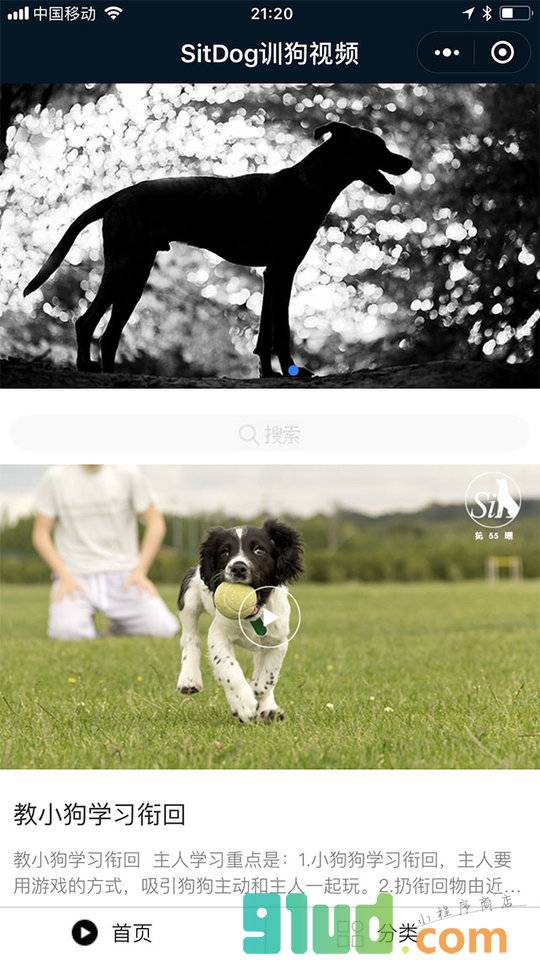 SitDog训狗视频小程序截图