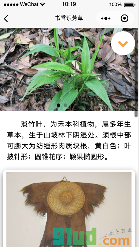 书香识芳草小程序截图