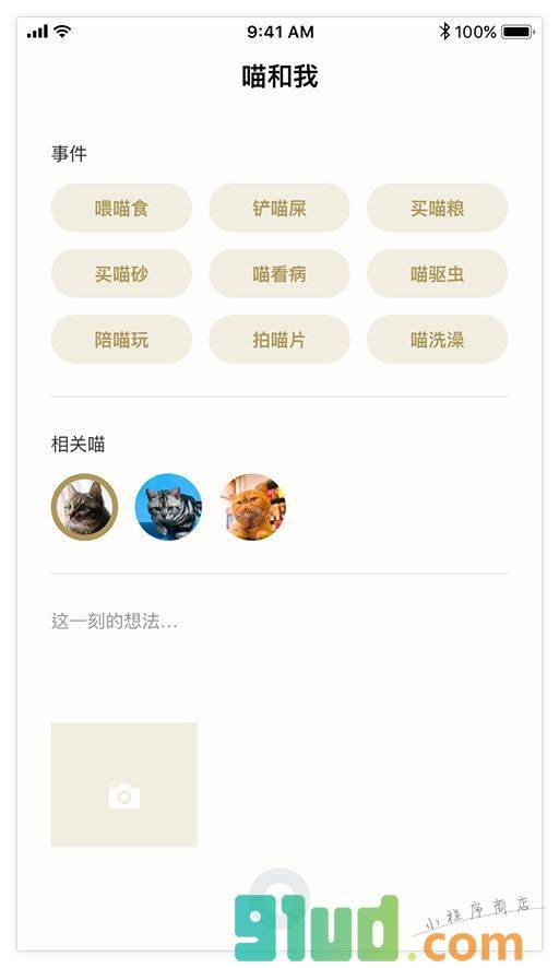 MEOW养好一只猫小程序截图