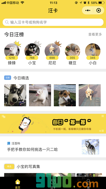 汪卡DogeCard小程序截图