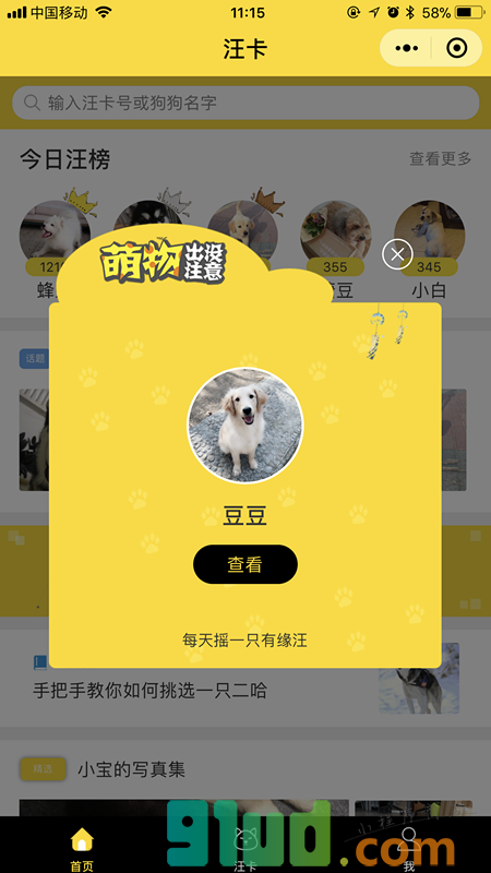 汪卡DogeCard小程序截图