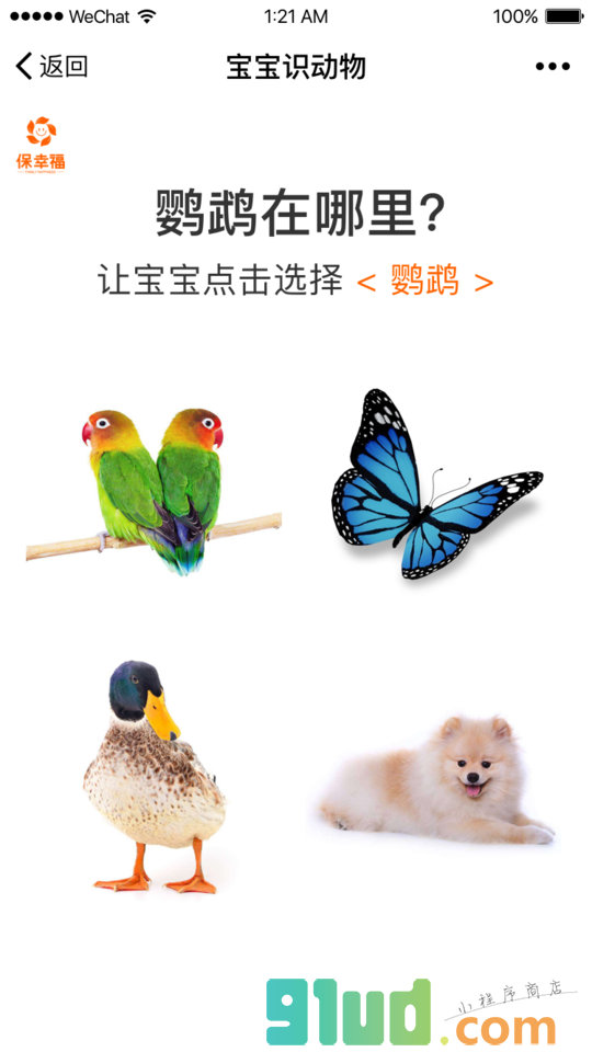 宝宝识动物益智早教识图认知大全小程序截图