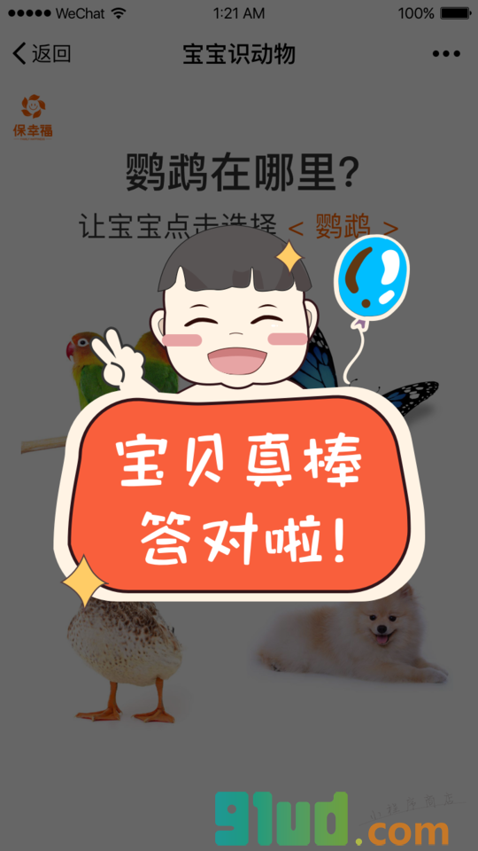 宝宝识动物益智早教识图认知大全小程序截图